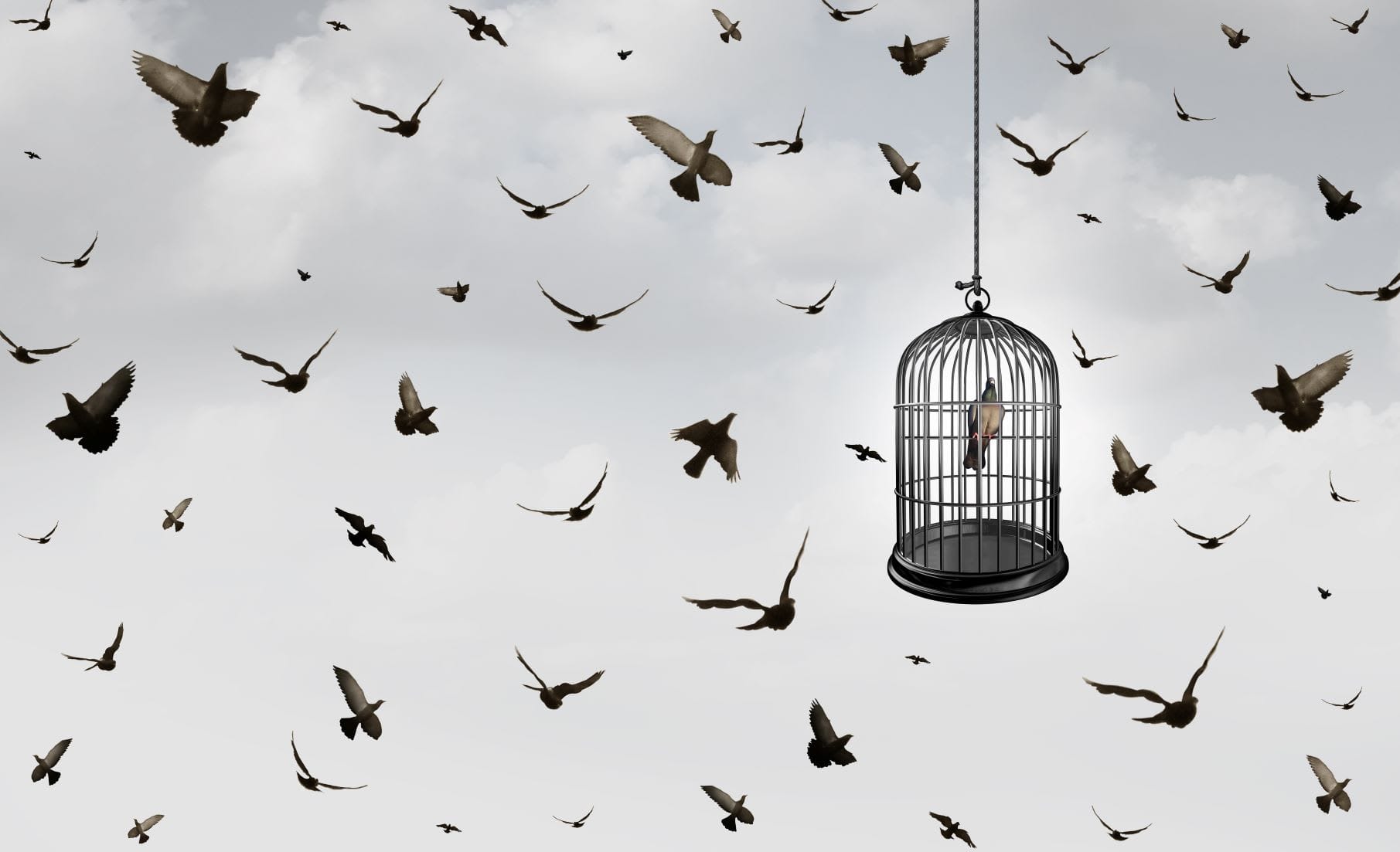 Everything You Need to Know about Claustrophobia