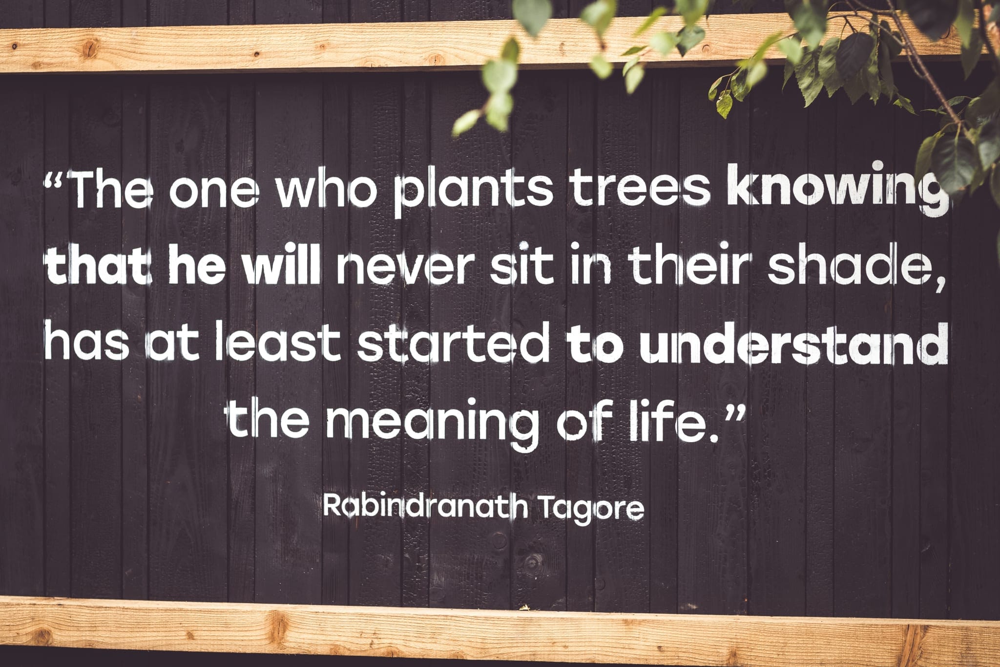 purpose builds resilience