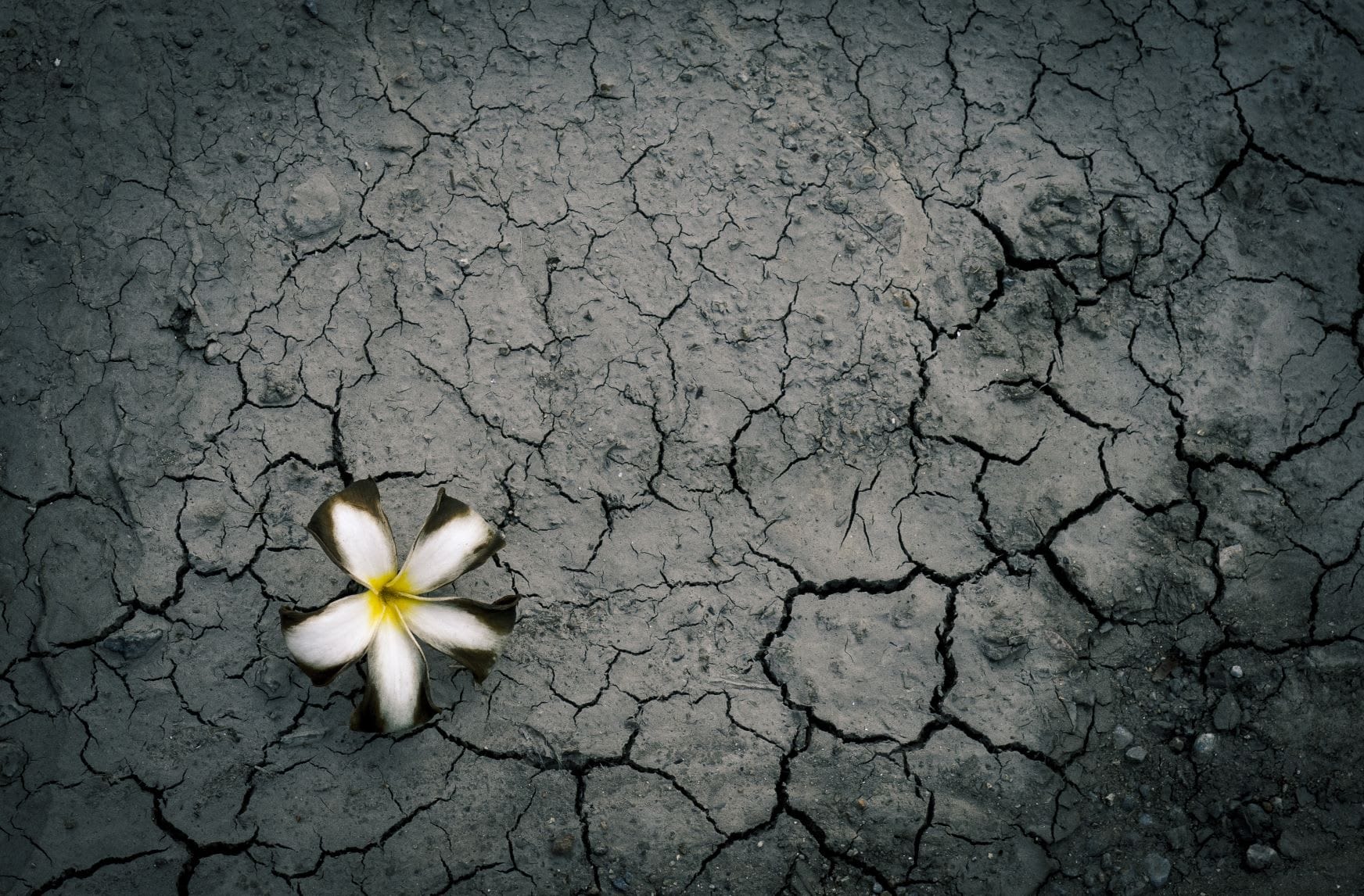 Life and death go hand in hand.
