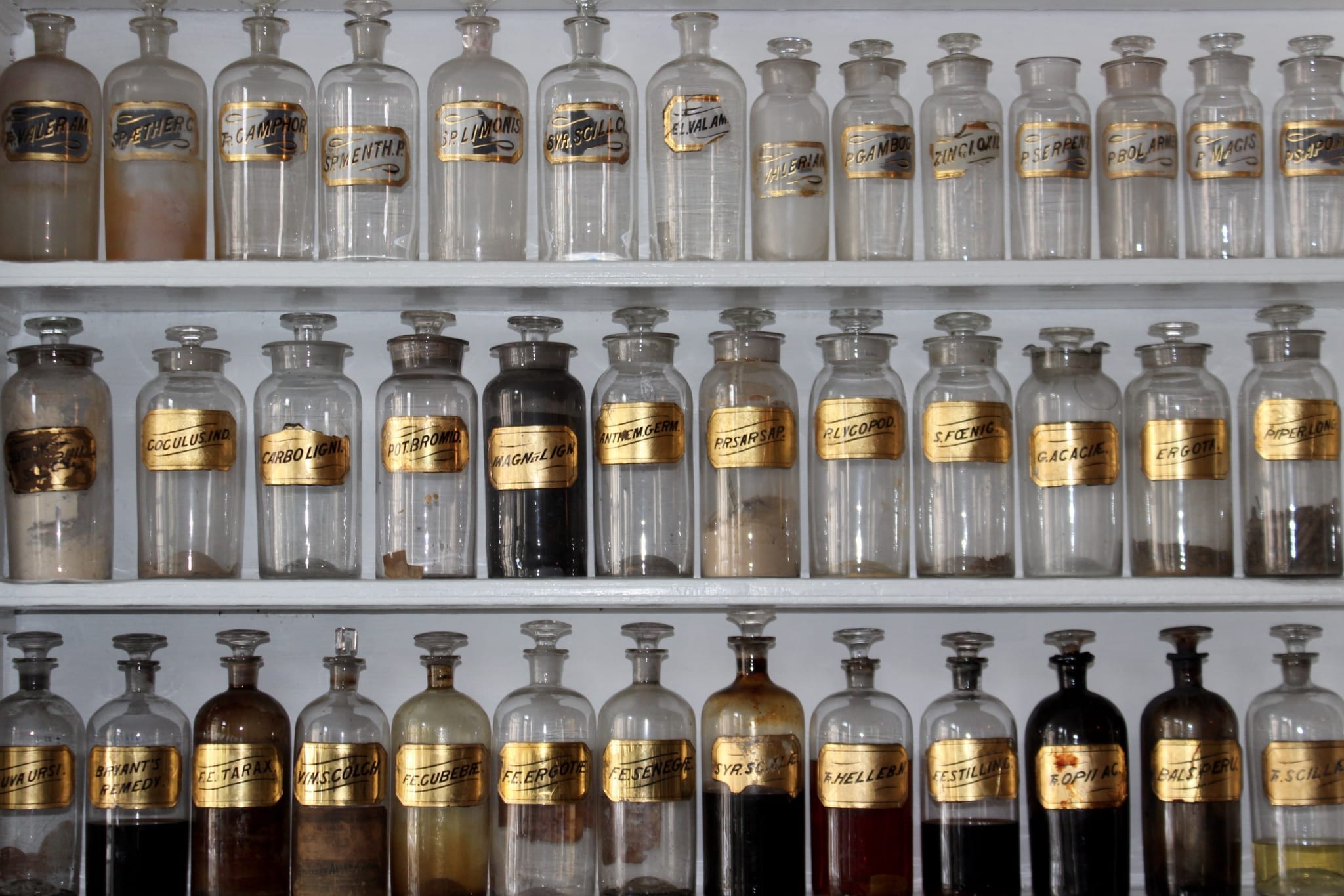 Adaptogens and Stress:  What to Know