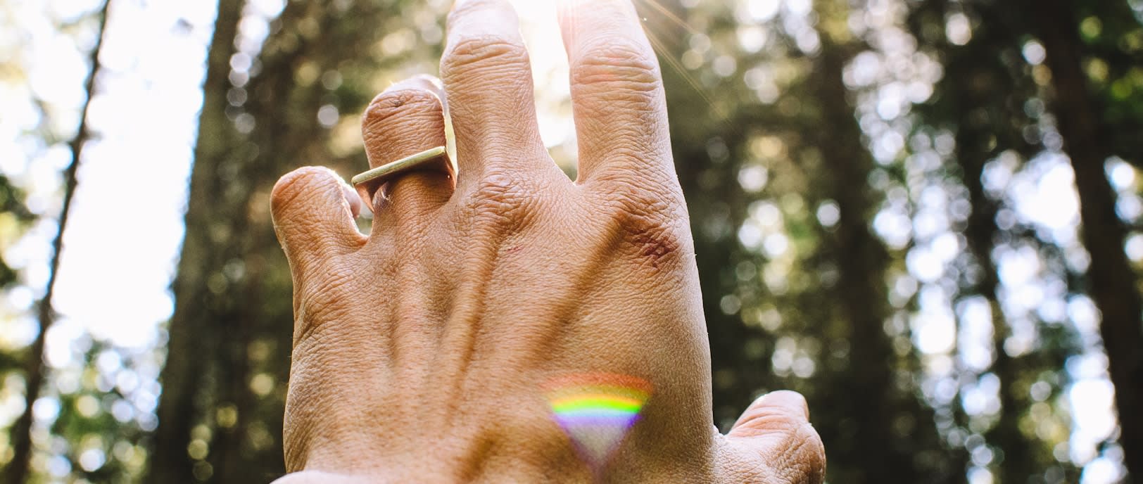Healing from Trauma