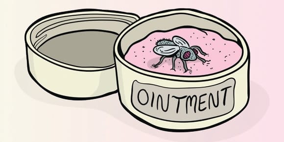 Fly in the ointment