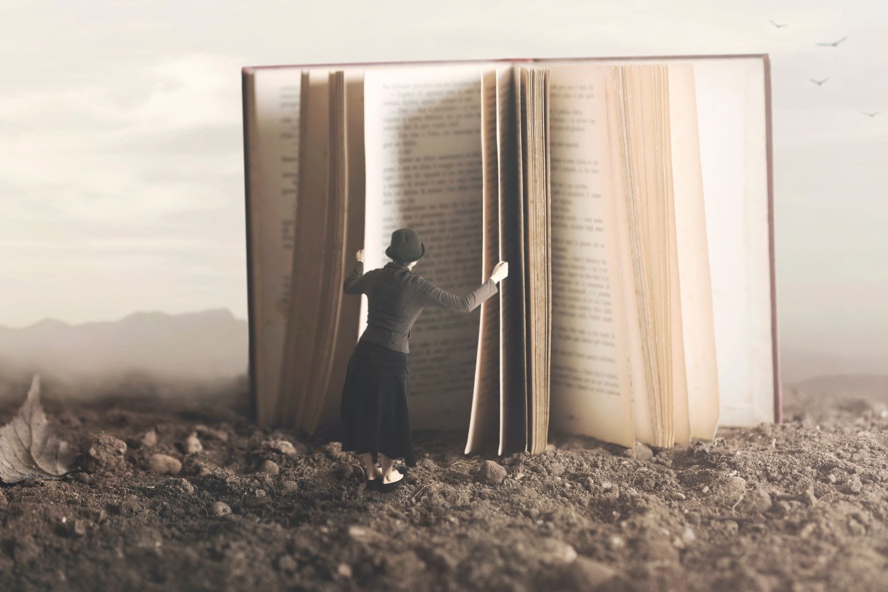 On The Importance of Meaning