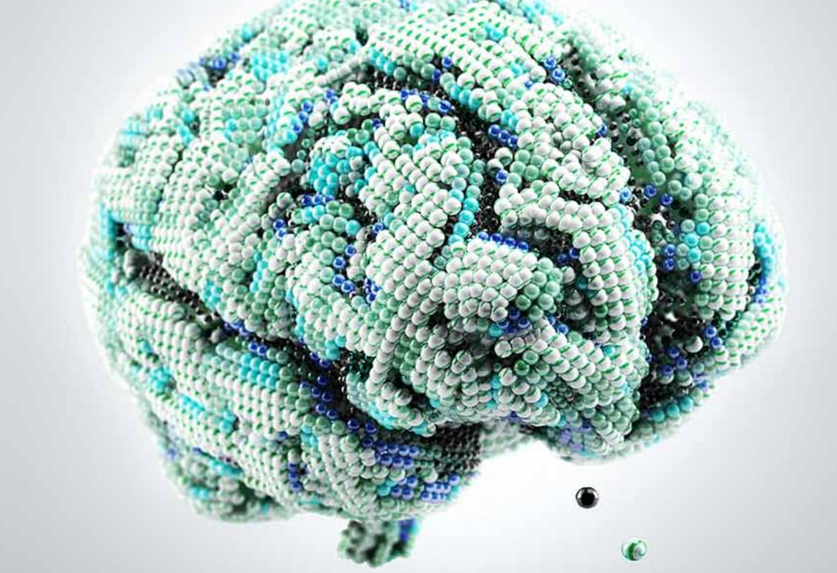 the brain made from balls