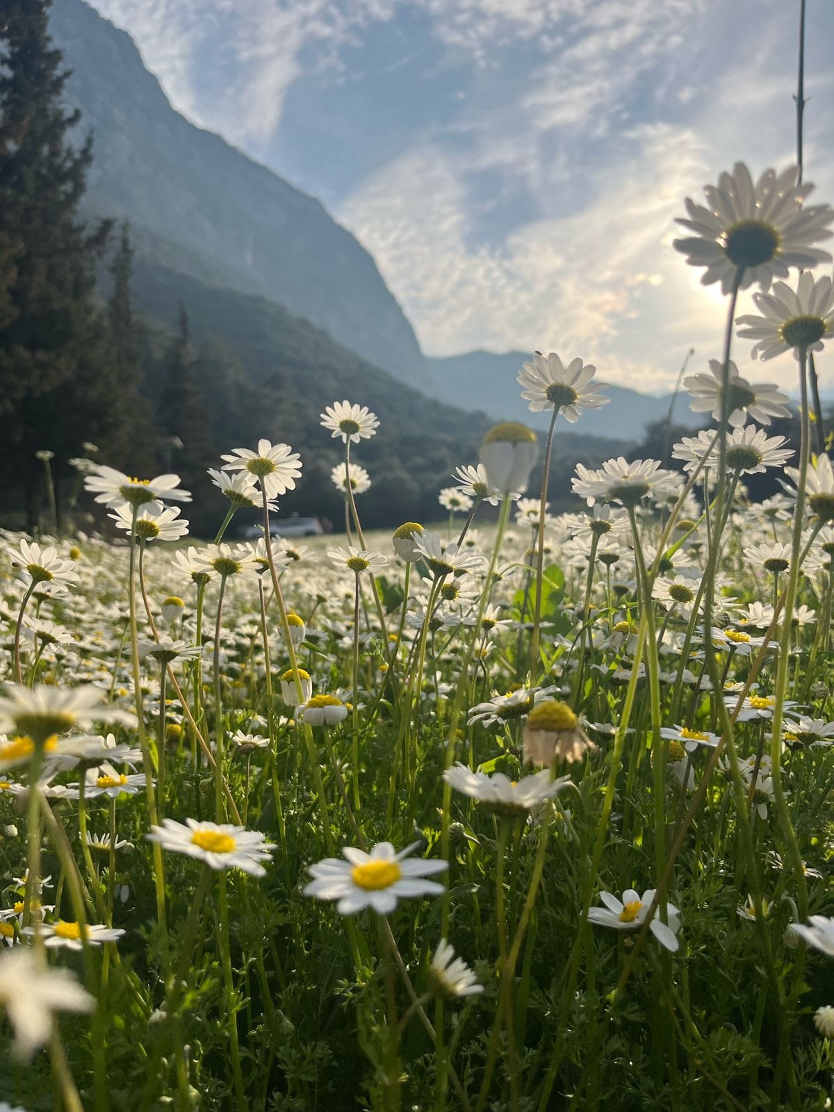 Cultivating Hope