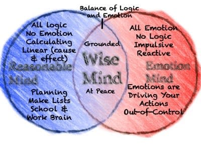 Dialectical Behaviour Therapy: For More Than Borderline Personality Disorder