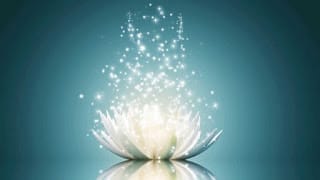 Reclaiming Sexuality and Desire