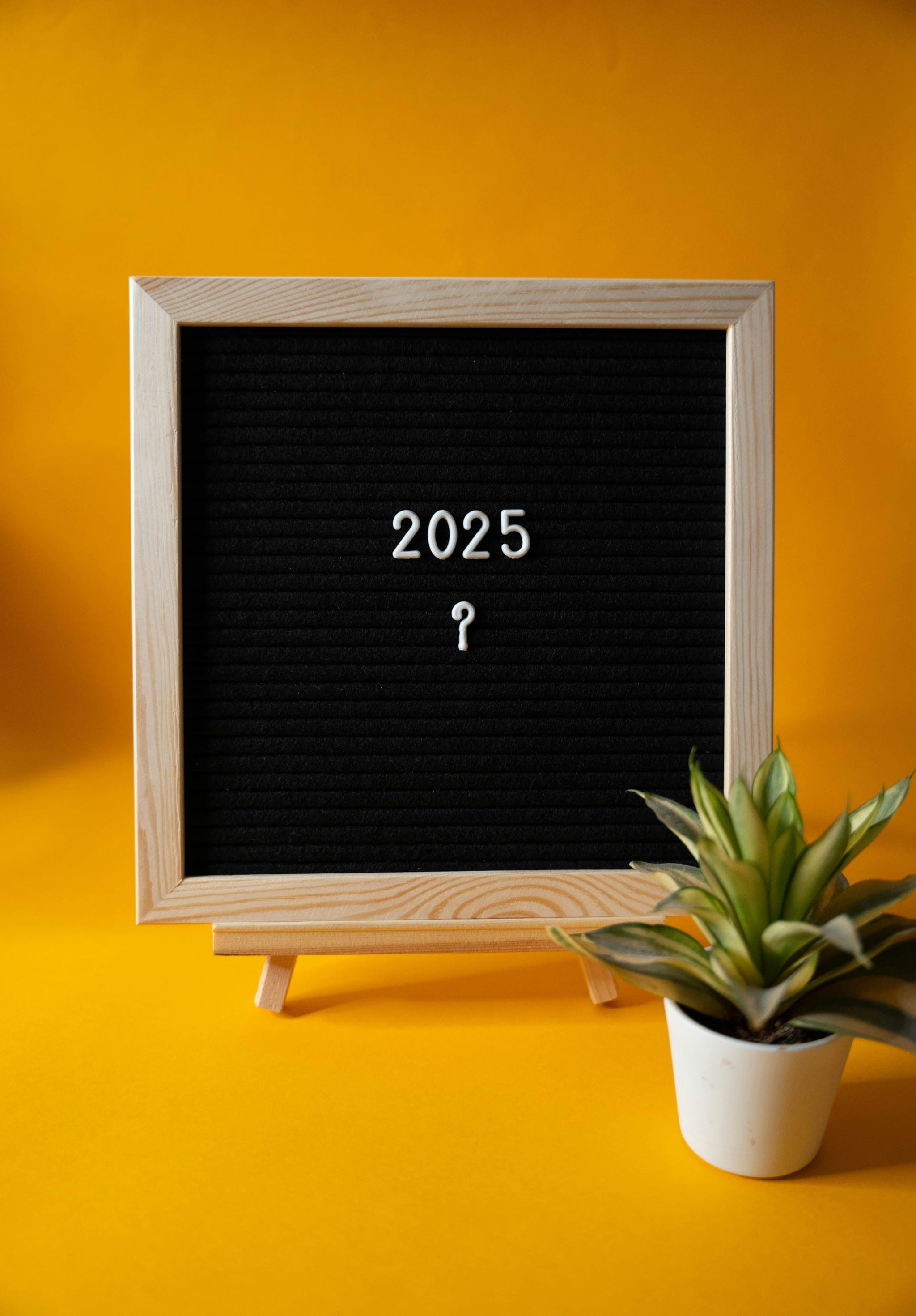 Fresh Starts: Steps to a Mentally Healthier 2025!