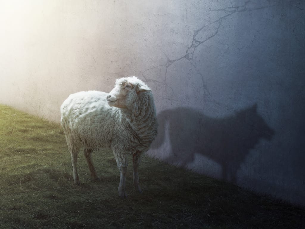 The Road to Hell is Full of Good Intentions - The Shadow of Kindness and Charity