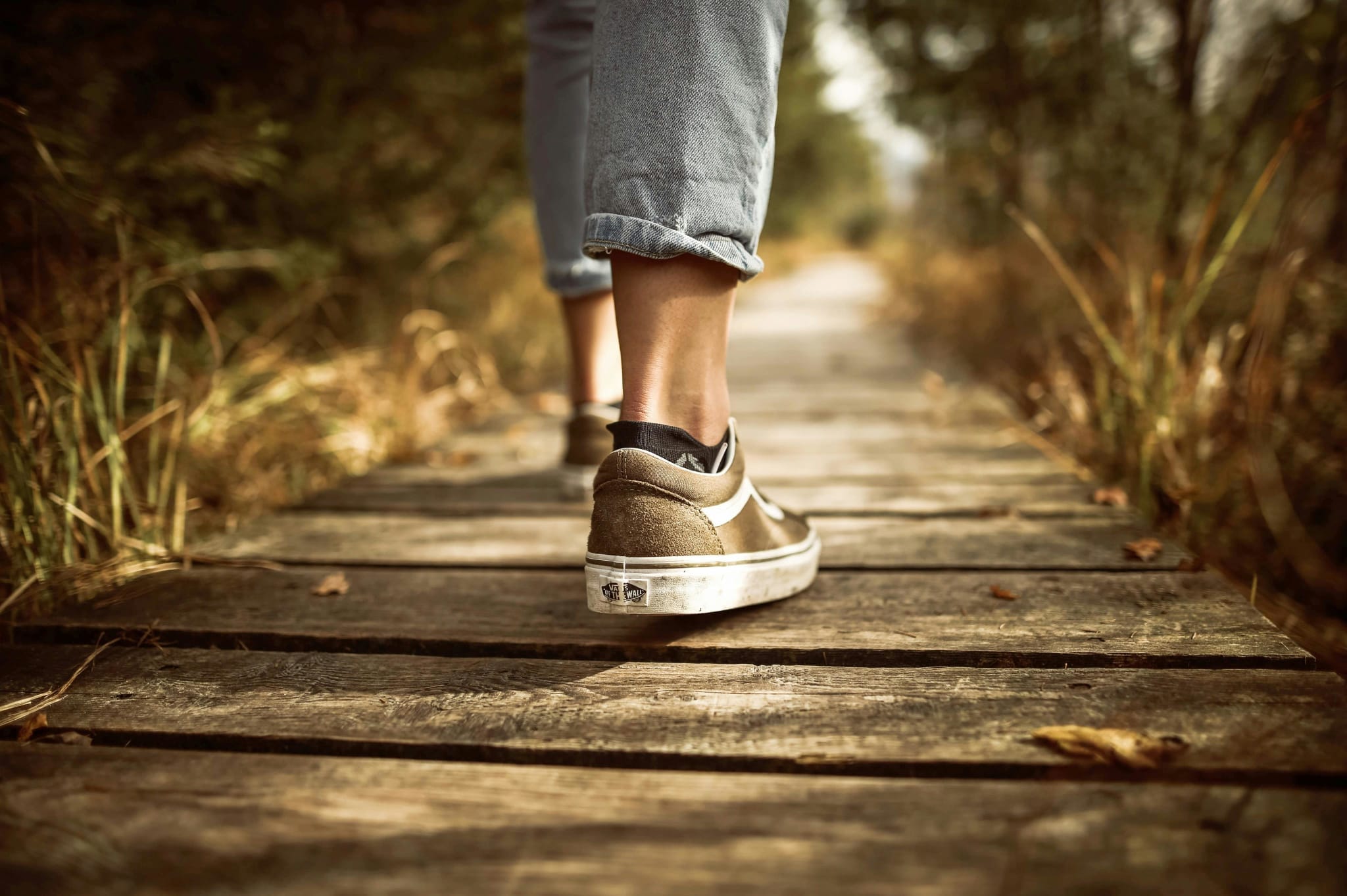 How We Heal : Understanding the Journey