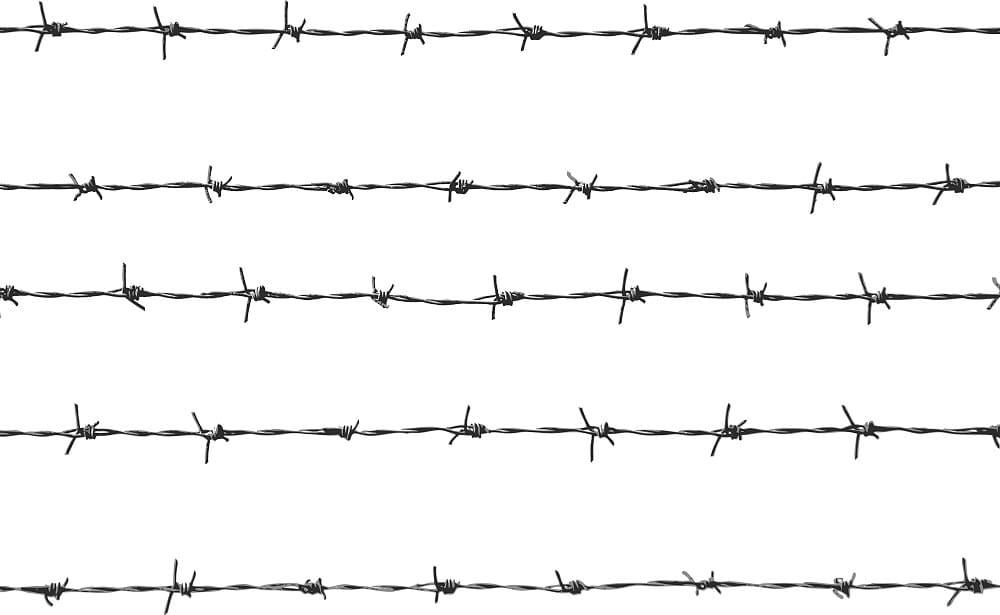 Nature, Nurture, and the Problem of Free Will
