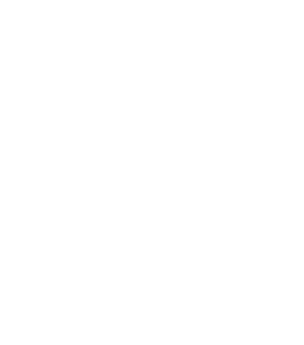 Tiktok icon